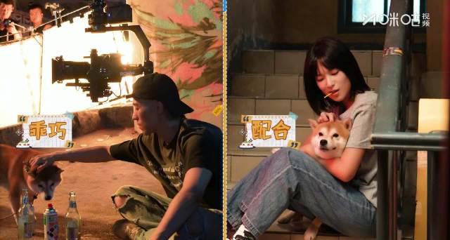 《时差一万公里》萌宠天团来袭！12月1日咪咕首播，海外剧迷如何抢先看？