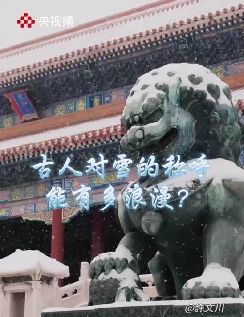 身在海外看不了央视频？别急，这份“破限”指南让你不错过每一片“寒酥”