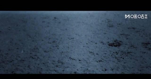 海外追剧党福音！手把手教你解锁《长安二十四计》，告别卡顿与地区限制