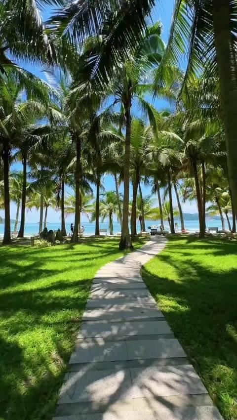 海外华人看不了国内视频？别急，这招让你轻松解除地区限制，畅享影音盛宴