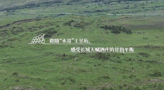 海外华人看不了《好久不见》？别急，手把手教你解锁国内热门节目