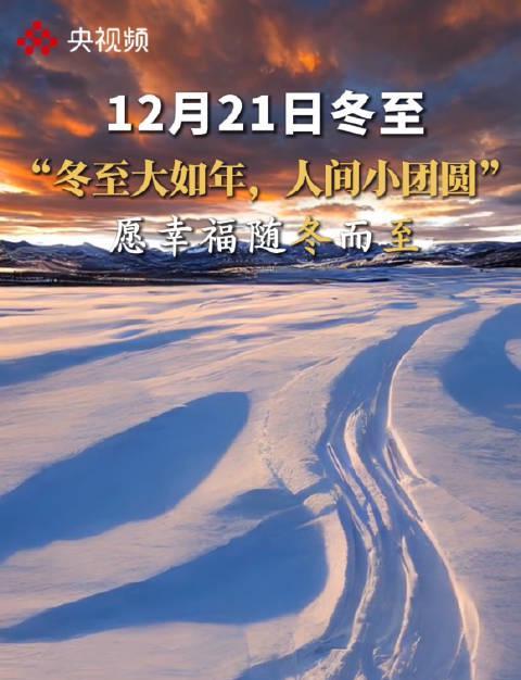 冬至不只吃饺子！海外华人想追国内热剧综艺，这份“解限”指南请收好