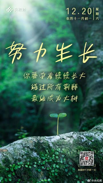 海外华人追剧听歌不再愁！三步破解地区限制，流畅观看国内热门影视综艺