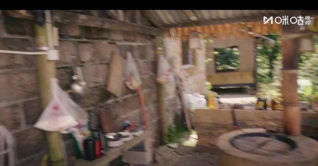 海外华人追剧指南：如何突破《时差一万公里》地区限制，同步观看张冉皓然“摘麦对峙”名场面？