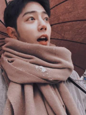 肖战雪人照引热议：海外华人如何解锁国内影视综艺，不错过每一个“冬日限定”？