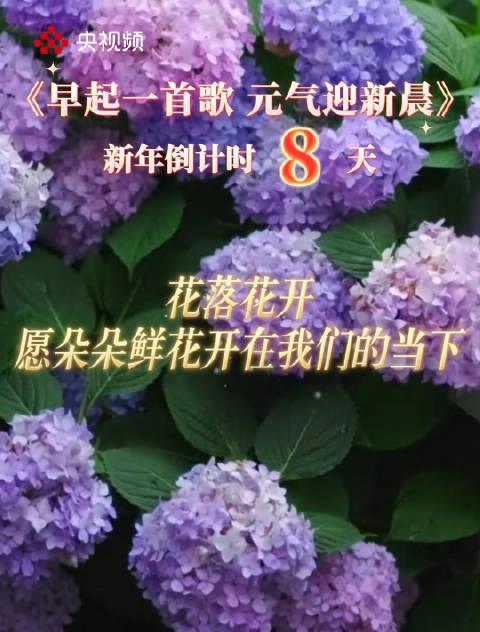 身在海外，如何第一时间追到莫文蔚毛不易的跨年新歌？这份攻略请收好