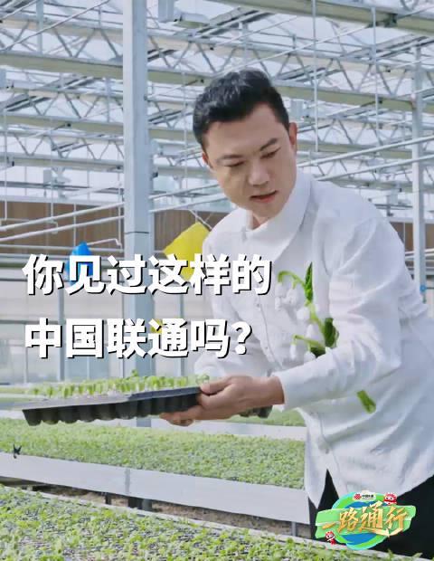 海外党看过来！除了追剧卡顿，你绝对想不到中国联通还能这么玩？