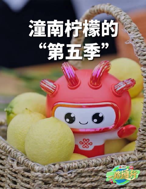 潼南柠檬的“第五季”秘密：联通5G直播如何让农产品跨越时空限制？