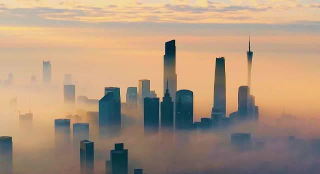 《怒放》刷屏！这部纪录片告诉你，什么才是生命最震撼的绽放