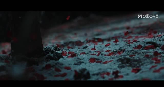 海外追剧党必看！一招教你解锁《玉茗茶骨》等国产好剧，告别“地区限制”的烦恼