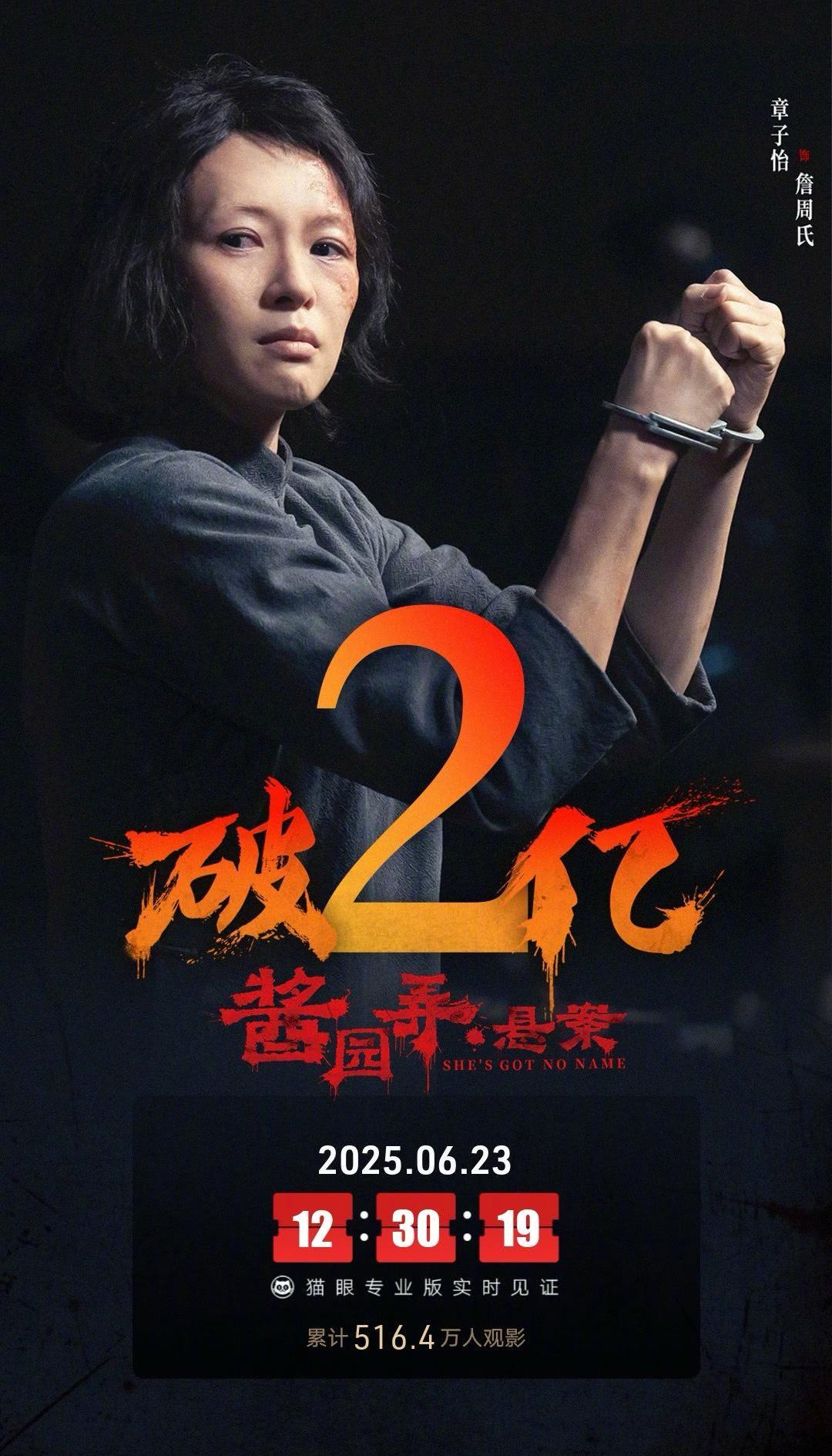 海外华人必看!3招解锁《酱园弄悬案》地区限制,票房破2亿的悬疑神作别错过