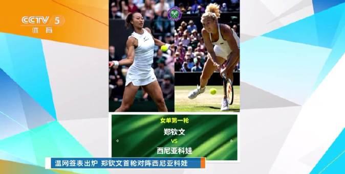 海外华人看温网受限?3招教你解锁郑钦文精彩赛事