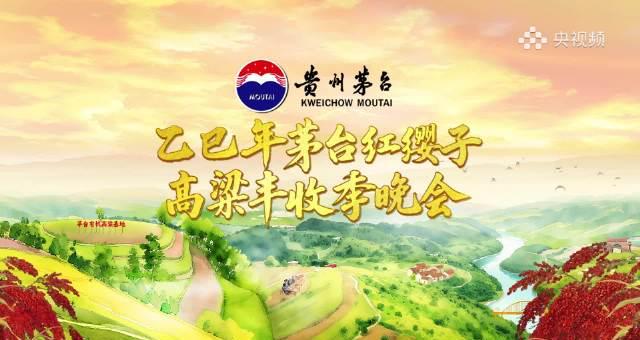 海外华人看不了国内节目?3招破解地区限制,轻松追剧听歌无压力!