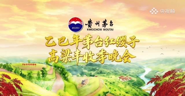 海外华人如何解除地区限制?3招搞定《一路生花》等国内节目