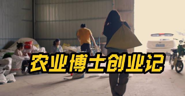 海外党必看!5个实用技巧轻松解锁国内影视综艺限制