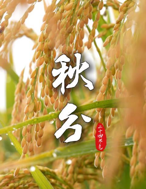 海外华人必看!3招解决国内影视限制,秋分时节也能同步追剧