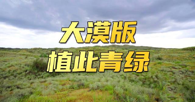 海外华人必看!3招教你轻松解锁国内热门影视综艺