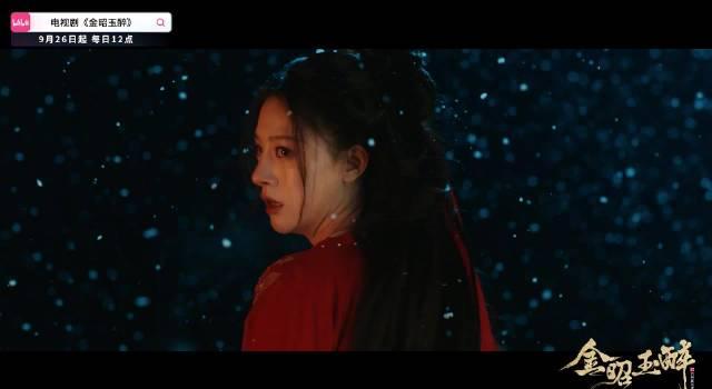 海外华人追剧不再愁!手把手教你解锁《金昭玉醉》等大陆独播内容