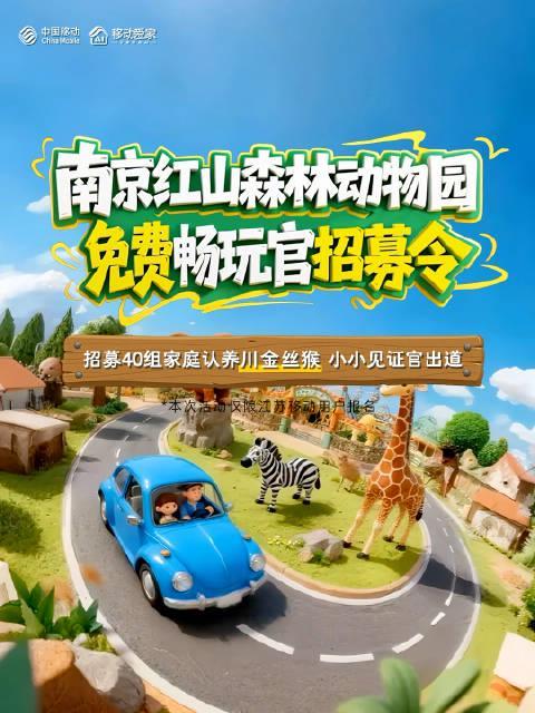 海外华人看不了国内视频?这些方法帮你解决地区限制烦恼