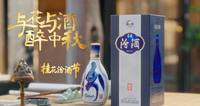 海外华人必看!3招教你解除国内视频平台地区限制