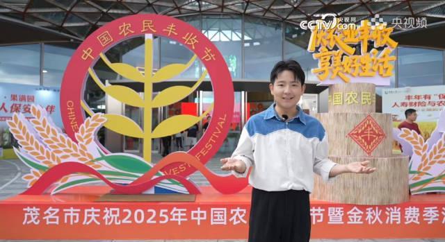 高速路上的田园盛宴!广东这个服务区把整个秋天都搬来了