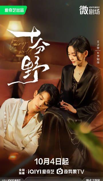 海外华人必看!一招解决爱奇艺地区限制,追剧不再受阻