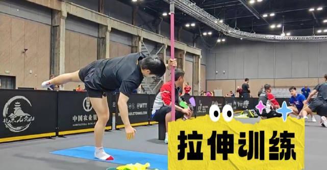 海外华人追剧遇阻?孙颖莎训练视频火爆背后的版权限制真相