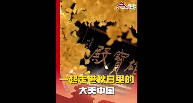 海外华人必看:如何轻松解锁国内影音资源,重温北京秋日限定浪漫