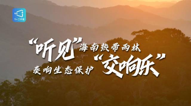 海外华人如何解锁《海南热带雨林交响曲》?3招教你跨越地域限制