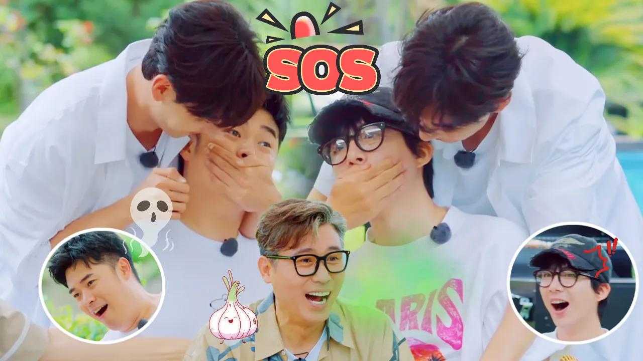 海外华人如何突破地区限制,轻松观看国内热门影视综艺节目