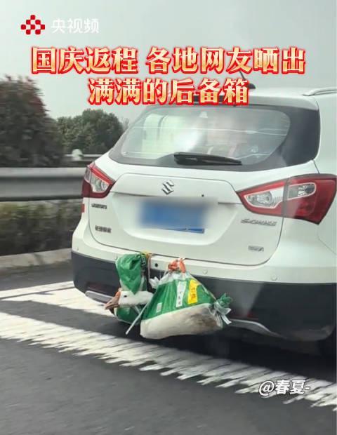 海外华人看不了国内综艺?3个方法帮你破解地区限制,轻松追更《假期返程》暖心瞬间