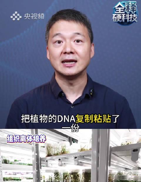 海外党福音:3招教你解锁国内影视资源,再也不用对着央视频干瞪眼!