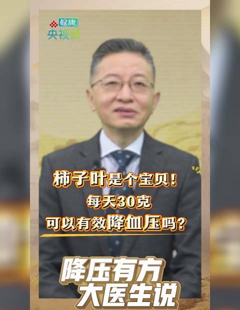 小小柿子叶竟有这么多神奇功效!专家揭秘降压抗炎新妙招