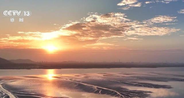 海外华人如何解锁钱塘江潮汐树奇观?3招教你跨越地域限制看直播