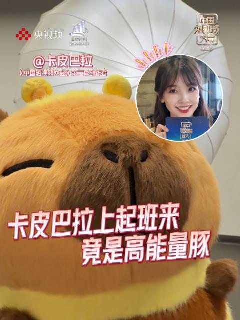 海外华人追剧新困扰:央视综艺卡顿频发,这些方法帮你解决地区限制