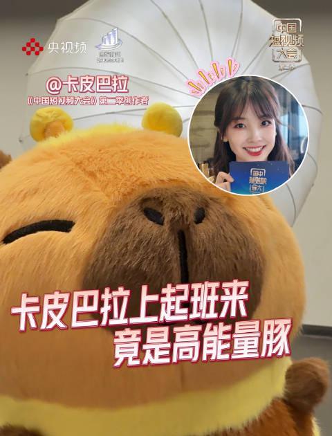 海外追剧党必看!三招教你破解地区限制,国内热门综艺随心看