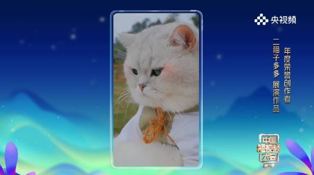 海外追剧党必看!3招教你破解地区限制,轻松get国内热门综艺