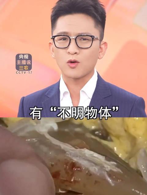 梭子蟹外壳惊现灰白疙瘩?别急着扔!这其实是藤壶亲戚无毒无害