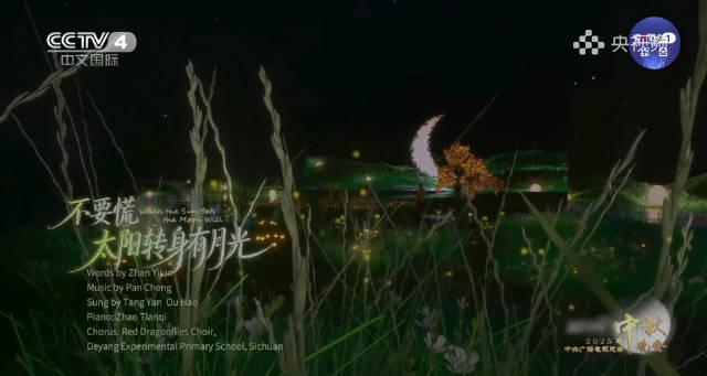 海外华人必看!3招教你解锁国内热门综艺,重温唐嫣欧豪治愈舞台不再难