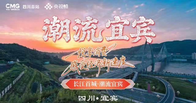 海外追剧卡成PPT?3招教你解锁国内热门综艺,海外党也能畅享宜宾新速度