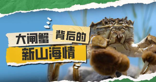 海外党看过来!3招破解大闸蟹直播限制,国内美味轻松尝