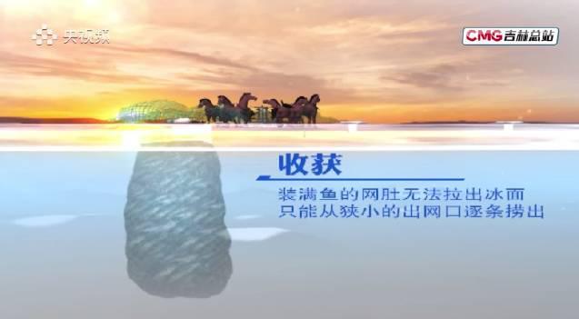 海外党福音:3招教你解锁国内热门视频,查干湖冬捕直播不再错过!