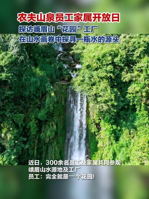 海外华人必看:三步教你解锁国内热门影视综艺,追剧不再卡顿!