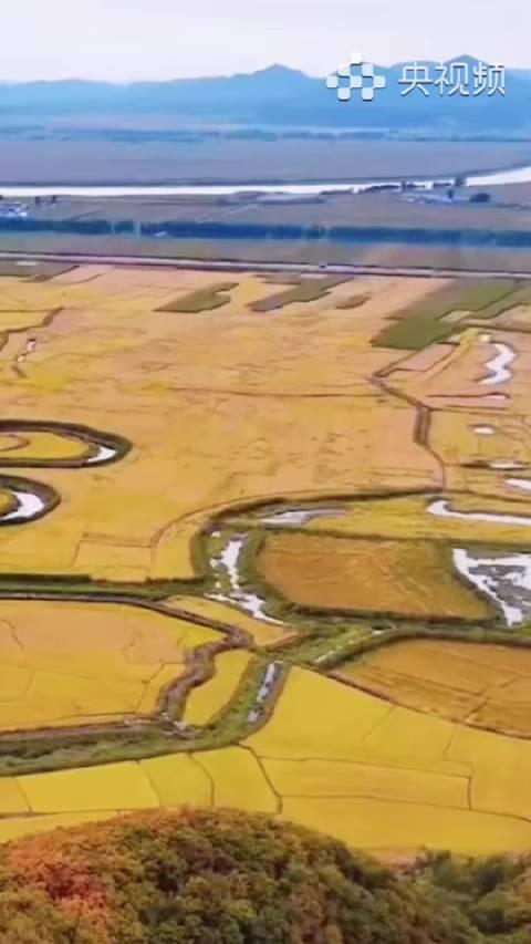 海外华人必看!解锁《感知幸福中国吉林行》完整版,和王一博共赏北国秋色