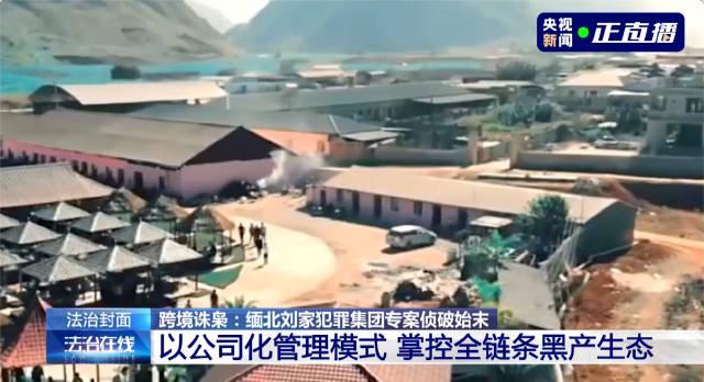 海外华人如何解锁《缅北刘家犯罪细节》?3招解决地区限制困扰