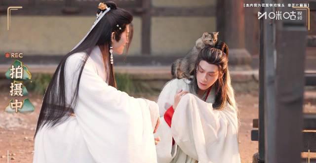 海外华人追剧困扰多?《水龙吟》花絮揭露温暖剧情,这些方法帮你突破地区限制