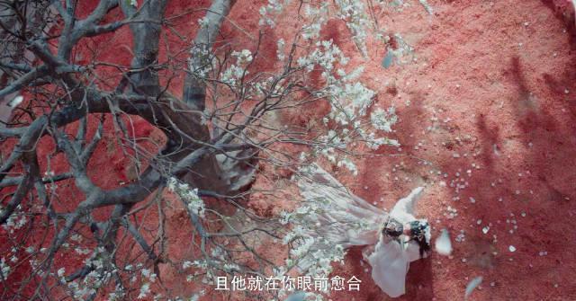 海外追剧党必看!3招解决视频地区限制,轻松追《水龙吟》名场面