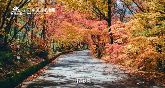 三步教你抓住北京秋色尾巴!降温来得太快就像龙卷风