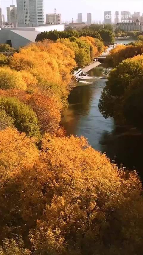 海外华人必看:三步解锁国内影视资源,海外也能追剧无压力