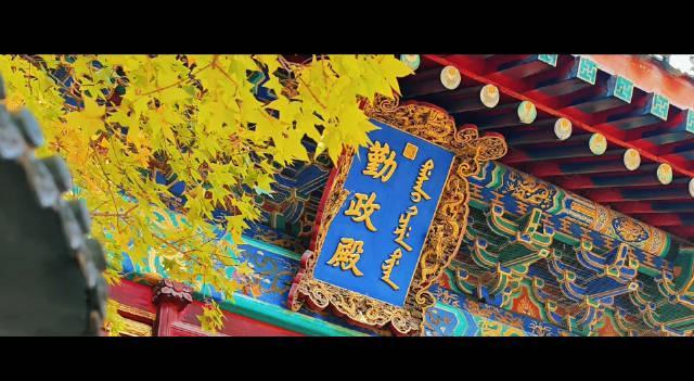 海外华人必看!北京香山红叶进入最佳观赏期,错过再等一年